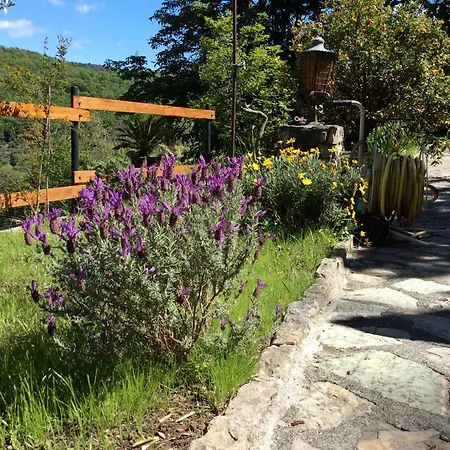 Cinqueterre Chetichella 3* Lerici